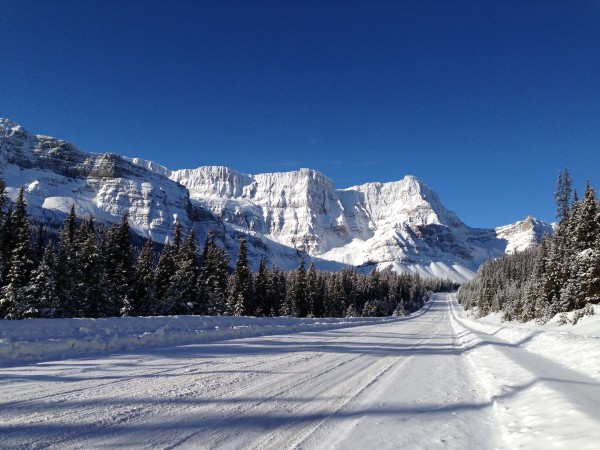 Driving North to Jasper National Park