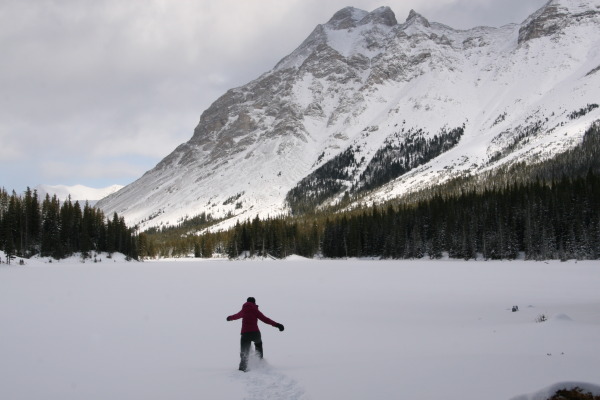 November at Elbow Lake