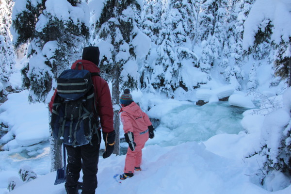 Exploring the "Meeting of the Waters" Trail at Rogers Pass