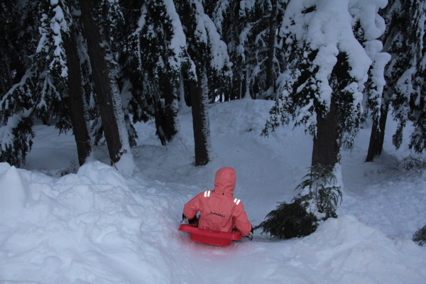 The ultimate backcountry luge track for sledding