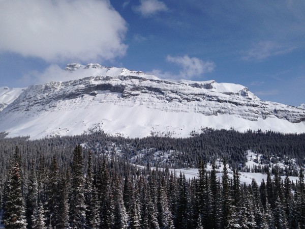 Views down to the Icefields Parkway from above the Hilda Creek Hostel