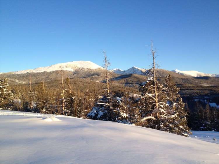 snow covered hill with trees and Pioneer peaks in the background