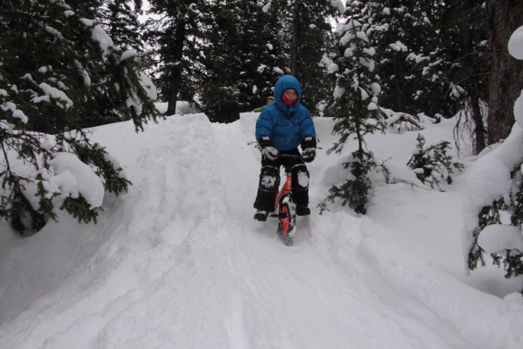child riding a strider ski bike in the snow