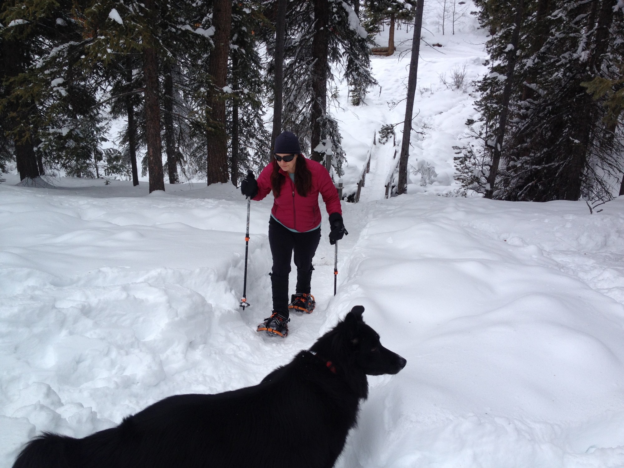 woman snowshoeing at Elkhorn Hot Springs ith dog in foreground of photo