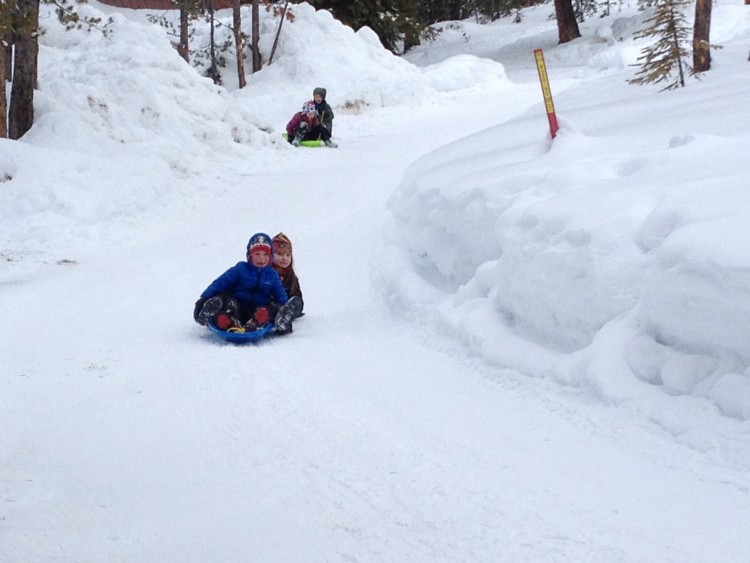 kids sledding down snowy road