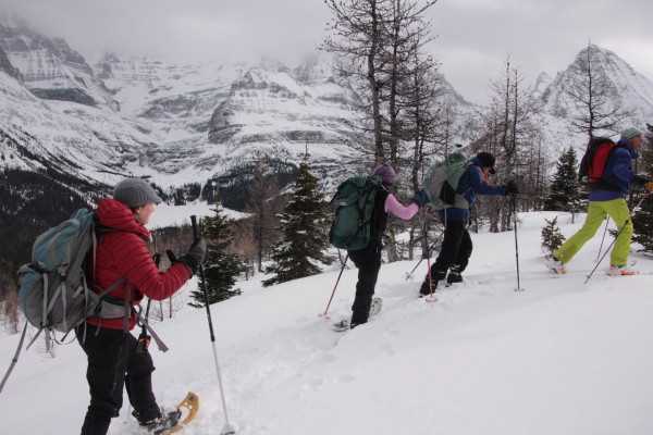 Backcountry Snowshoeing with Guide and Owner of Lake O'Hara Lodge