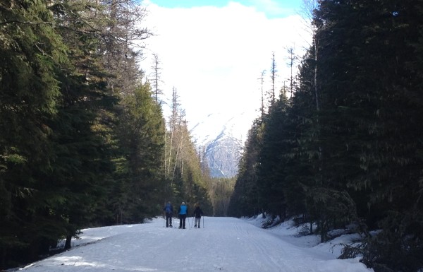 Going to the Sun Road