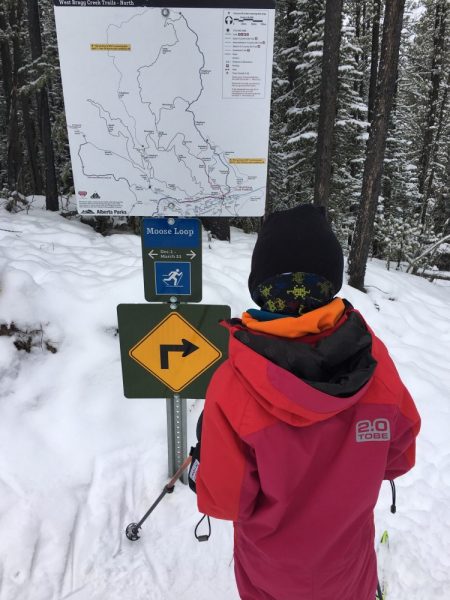 person looking at a trail sign and map
