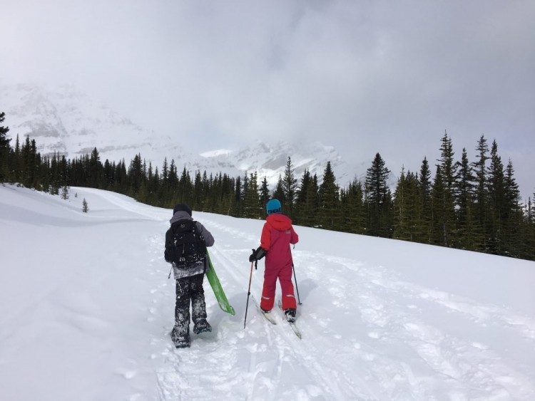 winter trail etiquette: snowshoer and skier side by side on an open winter trail