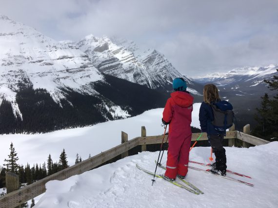 Peyto Lake- Icefields Parkway, AB