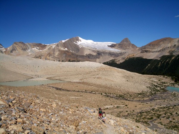 Hiking the Iceline Trail from the Stanley Mitchell Hut