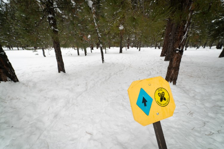 snowshoe trail sign near McCall Idaho
