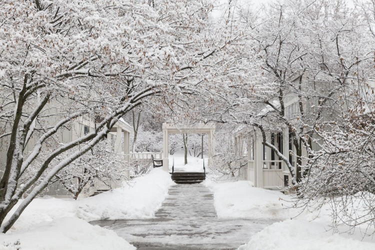 winter at Cornell University in Ithaca NY