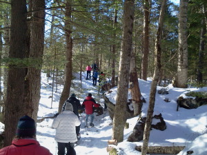 Snowshoeing through the woods in Jackson, NH