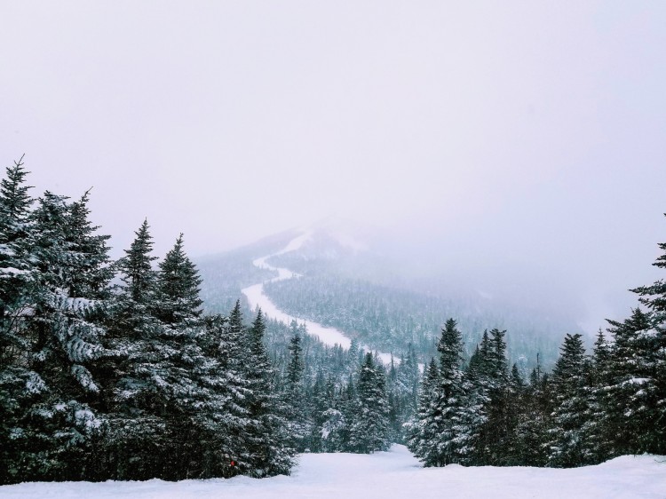 snow with trees and ski run in background, clouds overhead at Jay Peak Resort