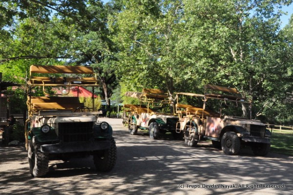 Jeep_Lineup