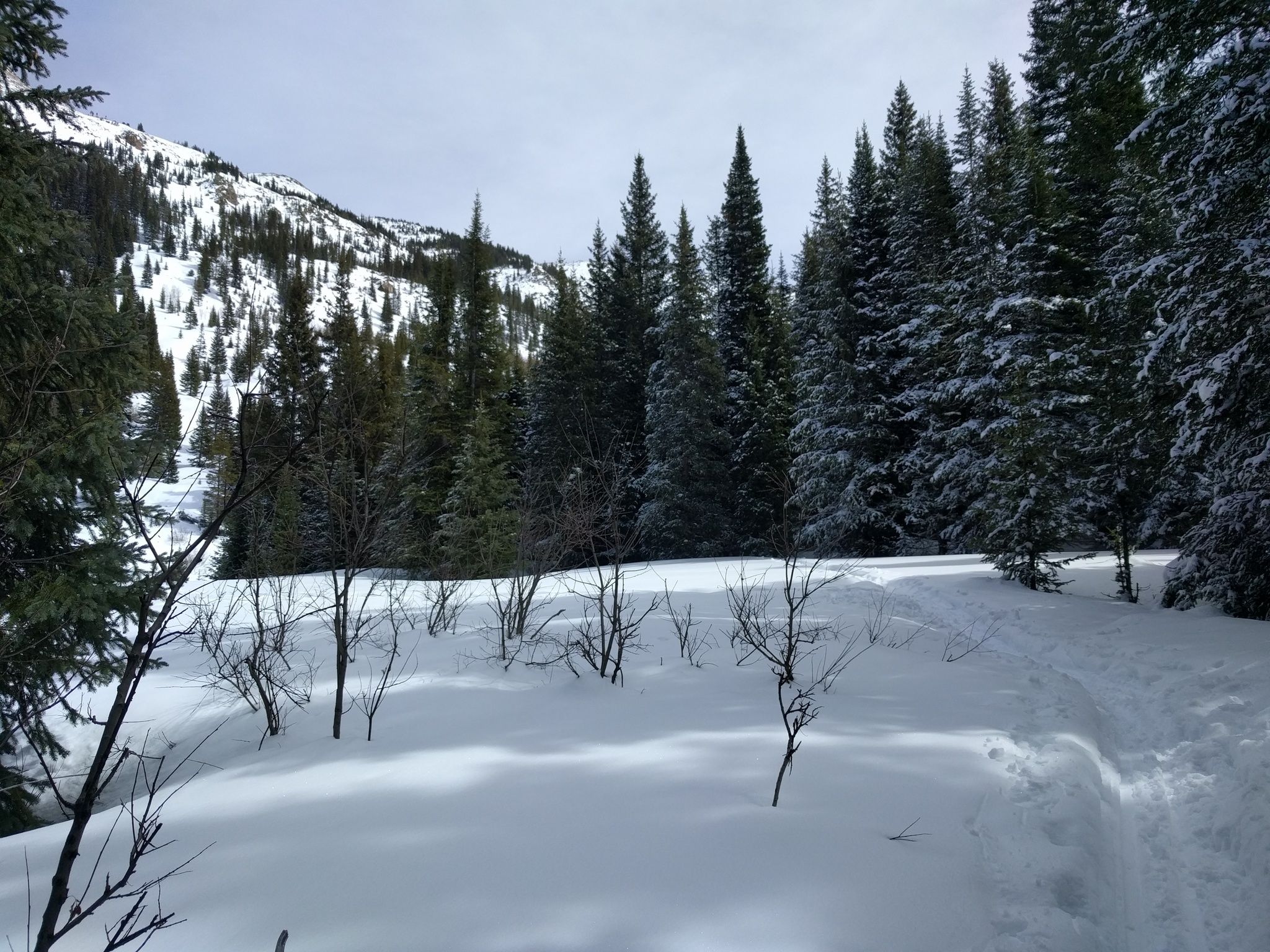 Jim Creek Trail, Grand County, CO
