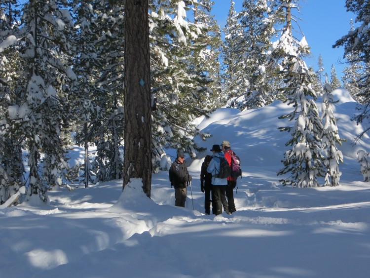 Jim Davis leaders snowshoers in central Oregon sno-park