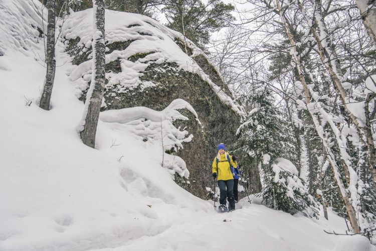 snowshoers on trail covered in snow