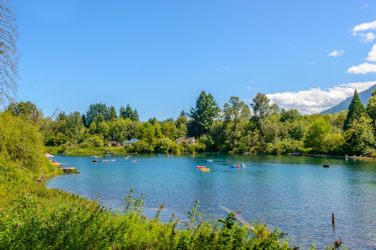 lake with many recreationists surrounded by trees and open sky