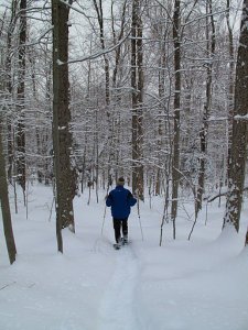 A snowy hike in the Adirondack woods.