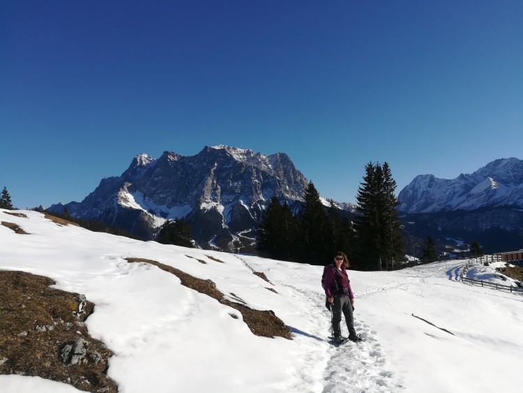 snowshoer on trail with Alps in the background