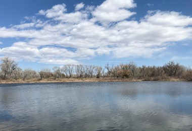 lake with trees in background and blue sky with clouds above