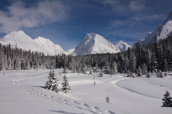Snowshoeing across Chester Lake meadows