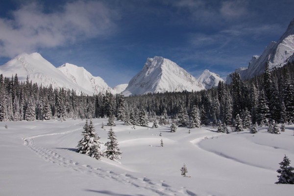 Meadows en route to Chester Lake