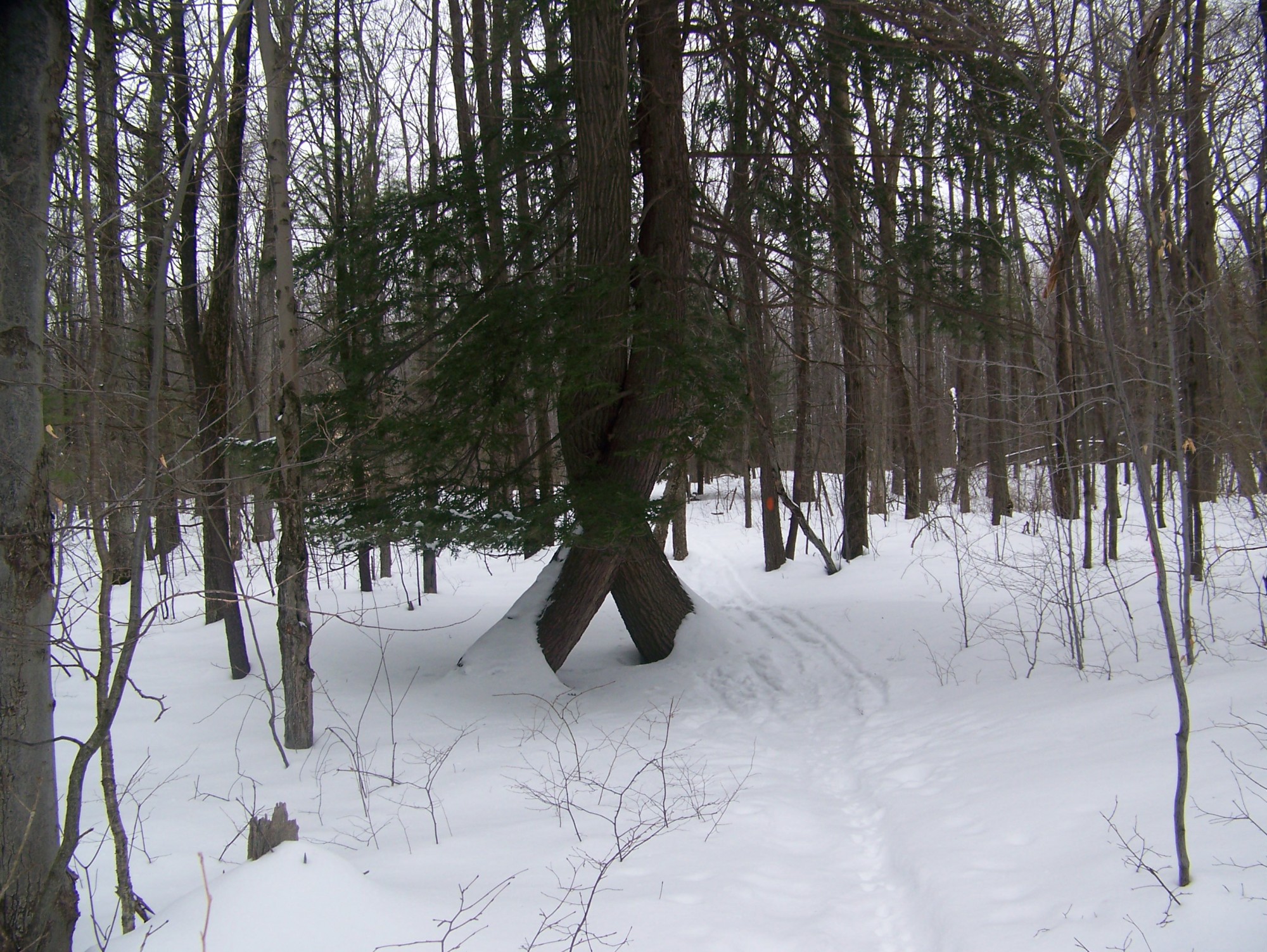 Mendon Ponds, Rochester, NY