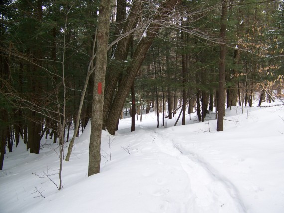 Snowshoeing Trails in Mendon Ponds, Rochester, NY