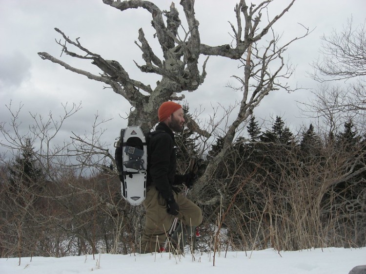man wearing backpack with snowshoes attached in snow
