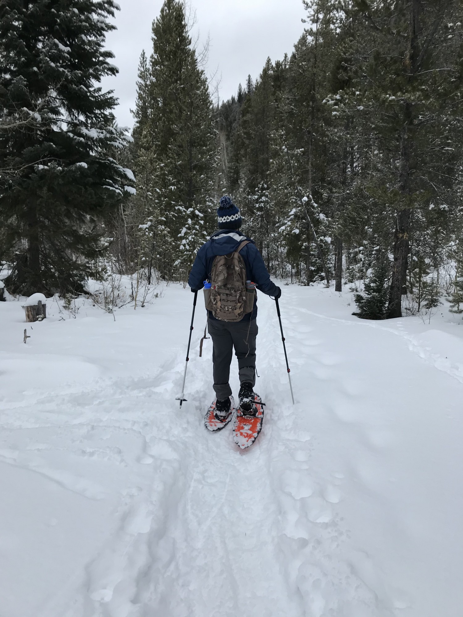 man snowshoeing with Northern Lites Backcountry snowshoes at Monarch Lake CO