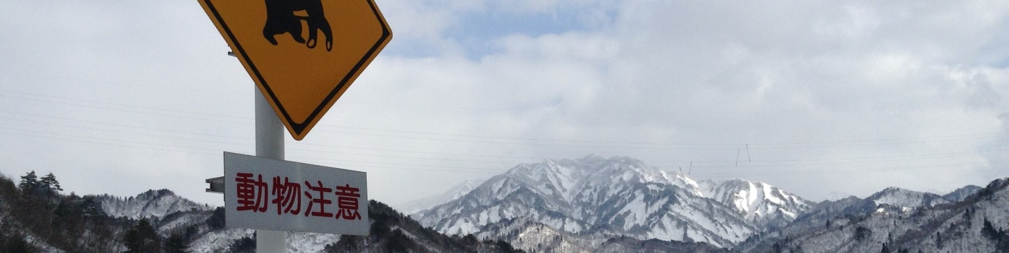 monkey sign in snowy landscape in Japan