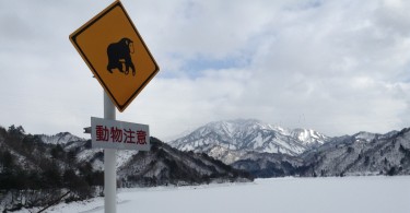 monkey sign in snowy landscape in Japan