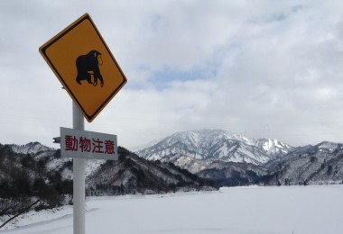 monkey sign in snowy landscape in Japan