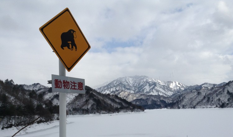 monkey sign in snowy landscape in Japan