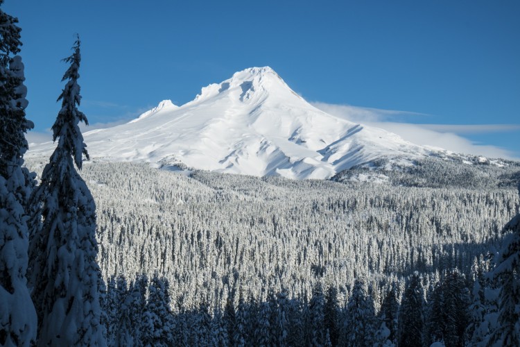 mountain peak surrounded by snow with snow covered trees in foreground
