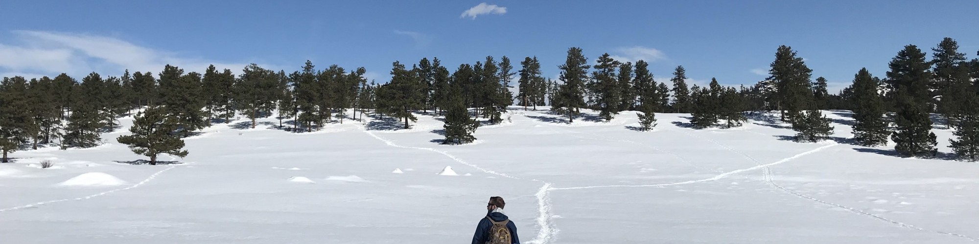 man snowshoeing in open area with snowshoe tracks and blue sky