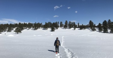 man snowshoeing in open area with snowshoe tracks and blue sky