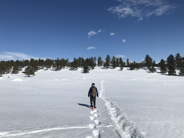 man snowshoeing in open area with snowshoe tracks and blue sky