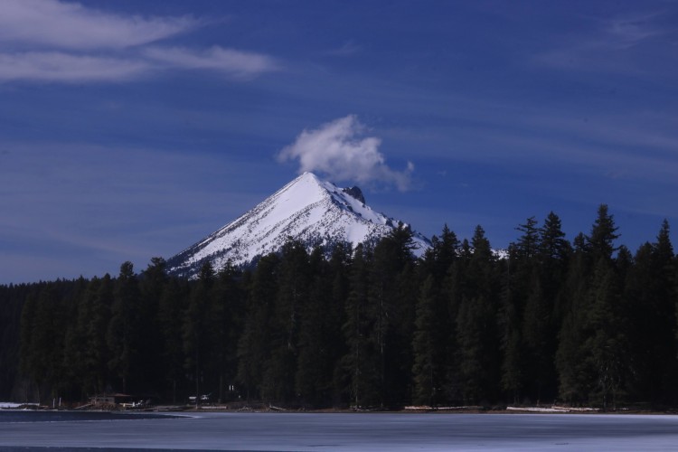 snowshoeing near Lake of the Woods: mountain top peaking out from trees under a blue sky