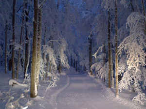 snowshoeing at night