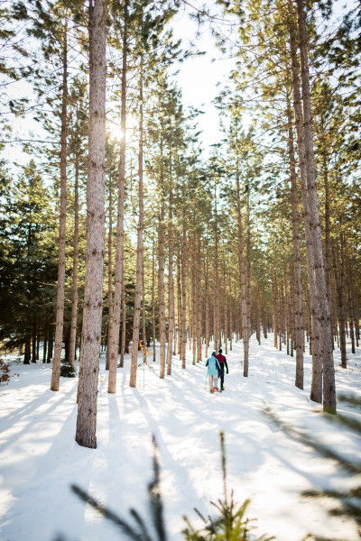 Nine Mile Forest, snowshoeing 06