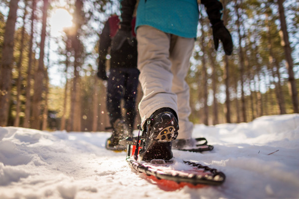 Nine Mile Forest, snowshoeing 12