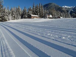 Fresh tracks at Nipika Mountain Resort. 