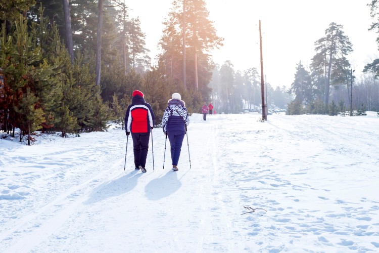 view from behind of two people using Nordic Walking poles on snow