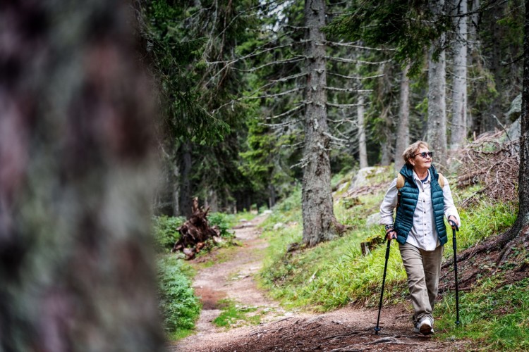 senior woman hiking on trail with nordic walking poles