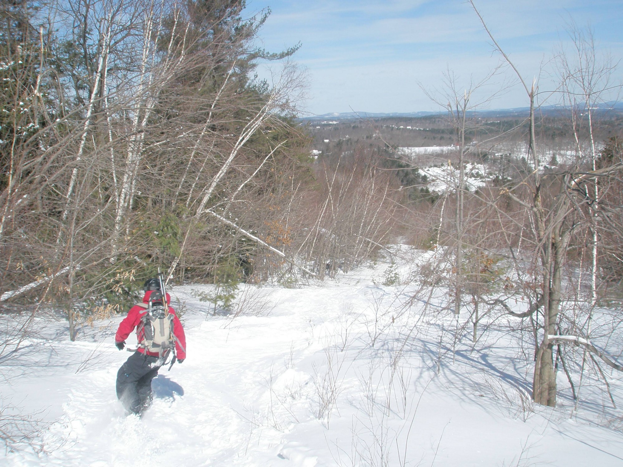 person snowboarding in powder