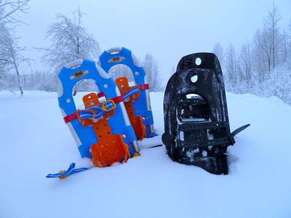 Kirkland - Talkeetna snowshoeing